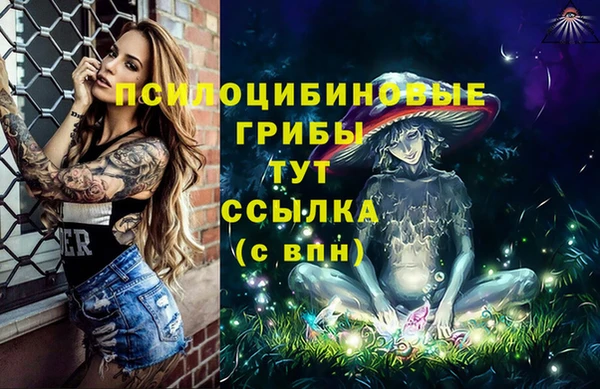 ALPHA PVP Бородино