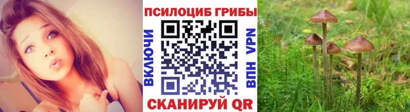 Псилоцибиновые грибы GOLDEN TEACHER Тотьма